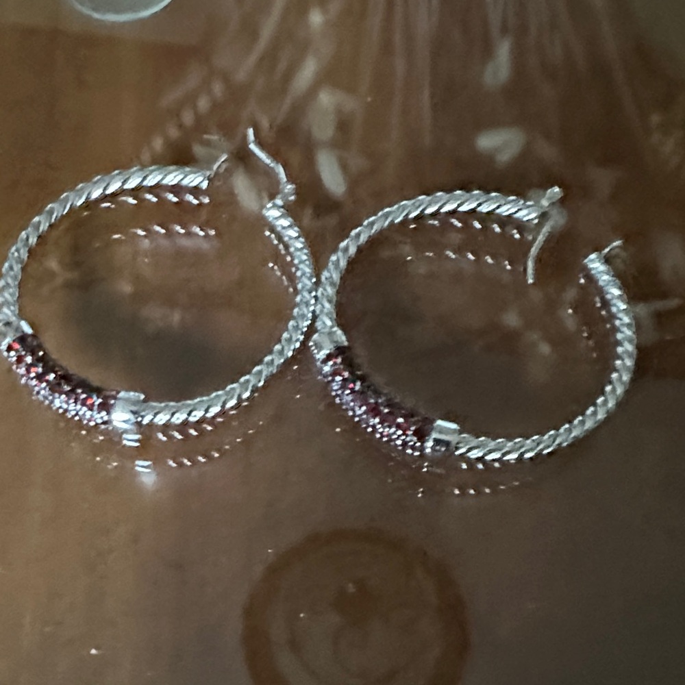 Elegant Silver and Red Hoop Earrings